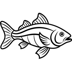Simple Zander Fish Contour Illustration