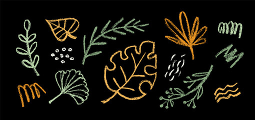 Tropical leaf vector crayon set. Childish doodle elements hand drawn on blackboard. Chalk or pastel textured lines