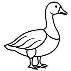Snow Goose White Line Art