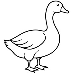 Snow Goose White Line Art