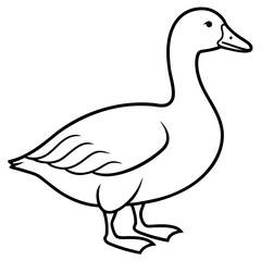 Snow Goose White Line Art