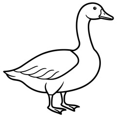 Snow Goose White Line Art