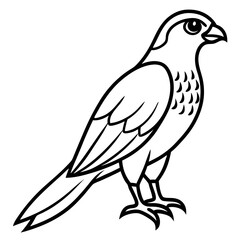 Sparrowhawk White Ink Design