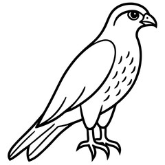 Sparrowhawk White Ink Design