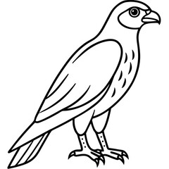 Sparrowhawk White Ink Design