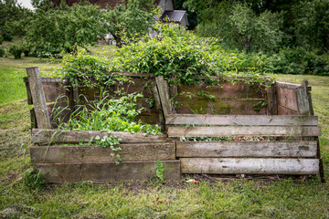 Wooden Garden Compost Bin Filled with Organic Waste and Overgrown Green Plants in Backyard