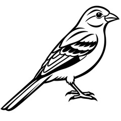 Stylized Yellowhammer Contour Vector Art