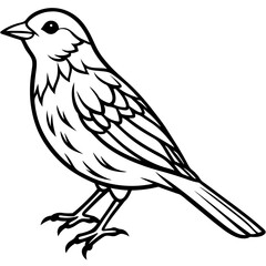 Stylized Yellowhammer Contour Vector Art