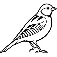 Stylized Yellowhammer Contour Vector Art