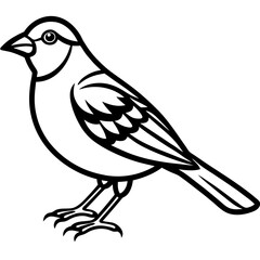 Stylized Yellowhammer Contour Vector Art