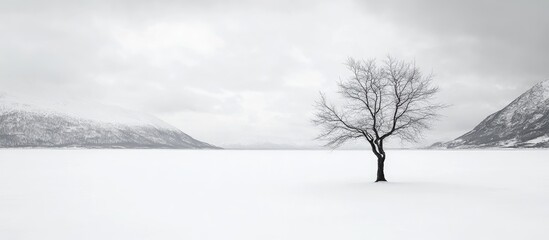 A solitary tree stands sentinel on a snow-covered plain, bordered by misty mountains