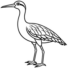 Whimbrel Minimalist Line Art Illustration