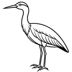 Whimbrel Minimalist Line Art Illustration