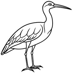 Whimbrel Minimalist Line Art Illustration
