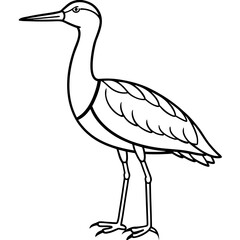 Whimbrel Minimalist Line Art Illustration