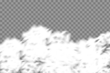 Bottom White Smoke Cloud Effect on Transparent Background