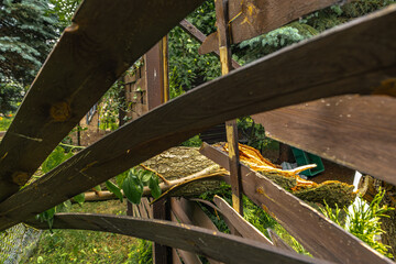 Broken fruit tree during a storm in the garden, lightning struck, ignited and broke a tree under...