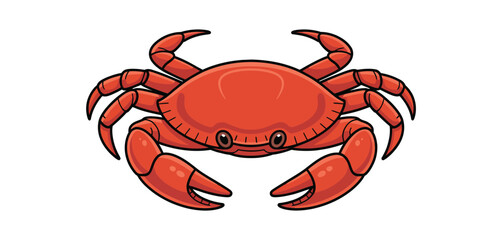 Cartoon Red Crab Illustration Ocean Animal Seafood
