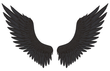 大きく広げた両翼の黒い翼　悪魔　黒鳥