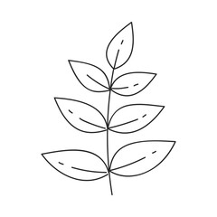 Hand drawn floral design. Vertical twig with oval leaves on both sides. Simple botanical design element in linear doodle style. Vector 10 EPS.
