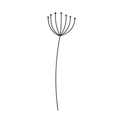 Hand drawn floral design. Delicate long stem topped with fine seeds. Simple botanical design element in linear doodle style. Vector 10 EPS.