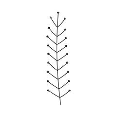 Hand drawn floral design. Delicate vertical twig with sparse branches. Simple botanical design element in linear doodle style. Vector 10 EPS.