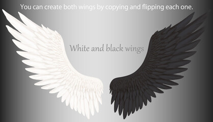 ベクター　コピー＆反転でそれぞれ両翼に出来る白い翼と黒い翼の片翼セット © 辛 甘