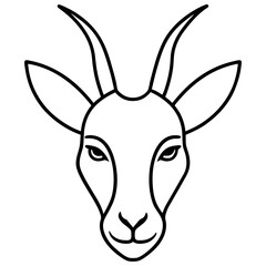 donkey in the form of a horse