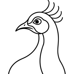 Obraz premium vector illustration of a peacock