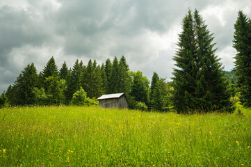 Wooden house in the Romanian mountains, Maramures Country, Europe.