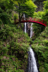豪快な滝　五宝の滝　岐阜県	