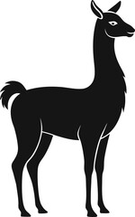 llama silhouette vector
