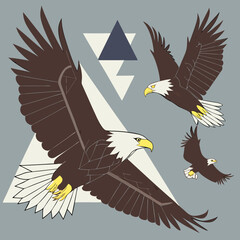 Fototapeta premium Stylized eagle vectors with geometric triangle background for graphics