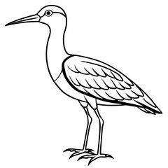 Elegant Whimbrel Outline Vector Design