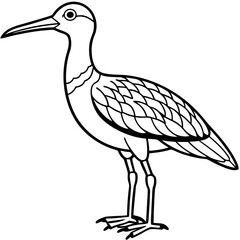 Elegant Whimbrel Outline Vector Design
