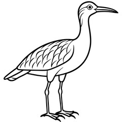 Elegant Whimbrel Outline Vector Design