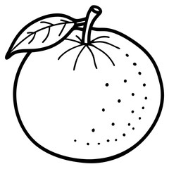 A simple Mandarin Orange line art vector