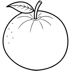 A simple Mandarin Orange line art vector