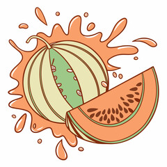 Stylized melon illustration with vibrant juice splash and slice element