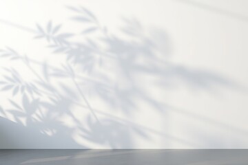 Soft shadows of leaves projected onto a clean white wall and gray floor