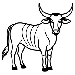 Elegant Zebu Outline Design