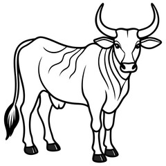 Elegant Zebu Outline Design