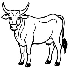 Elegant Zebu Outline Design