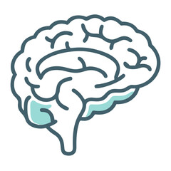 Brain line icon. Vector illustration