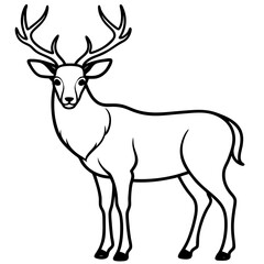 Forest Creatures Line Art Wapiti & Vole