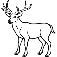 Forest Creatures Line Art Wapiti & Vole