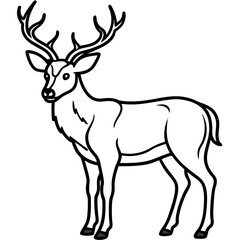 Forest Creatures Line Art Wapiti & Vole