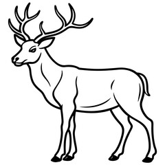 Forest Creatures Line Art Wapiti & Vole