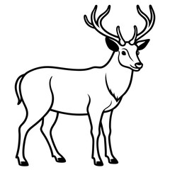 Forest Creatures Line Art Wapiti & Vole