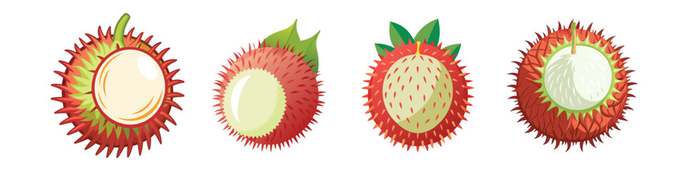 Rambutan Flat Illustration in Simple Minimalist Flat Style